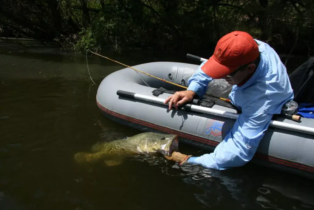 COD’S OWN COUNTRY 5