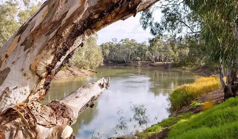 Kwiambal National Park 4